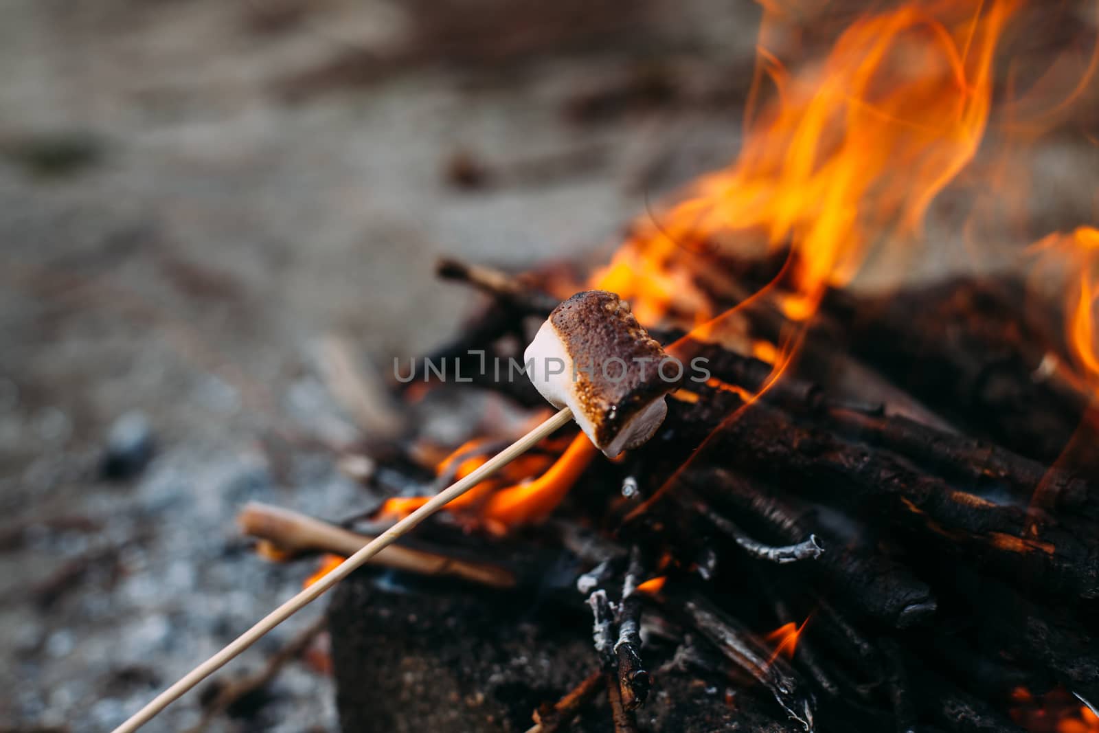 Marshmallow on a stick at the stake. Fried marshmallows. Picnic in the nature. Marshmallows on a background of fire.