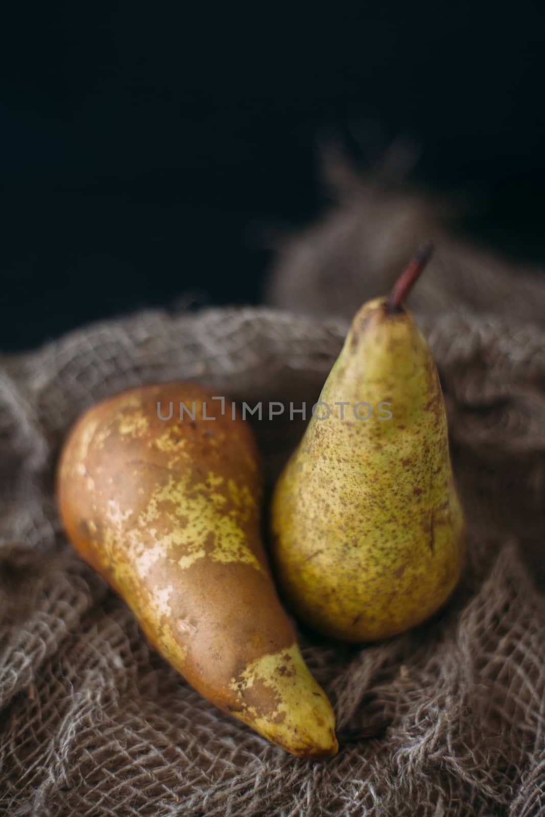 Still life with pears on burlap on a dark wooden photo. Pears Conference