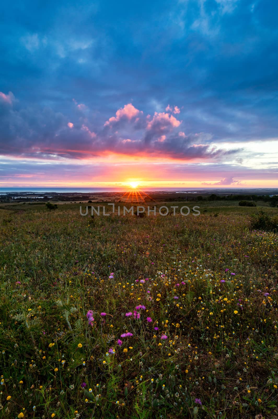 Sunset on the horizon with sky over a rural field and the sea in the background. Sunset, Sunrise over rural meadow field. Countryside landscape with scenic summer dramatic sky in sunset dawn sunrise.