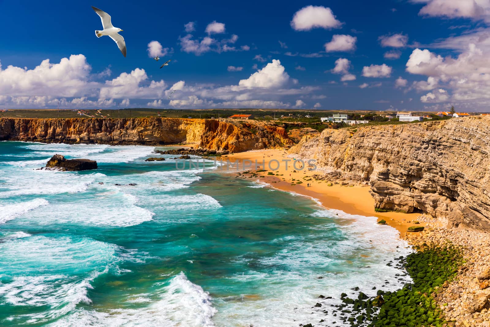 Panorama view of Praia do Tonel (Tonel beach) in Cape Sagres, Algarve, Portugal. Seagulls flying over Praia Do Tonel, beach located in Alentejo, Portugal. Ocean waves on Praia Do Tonel beach.