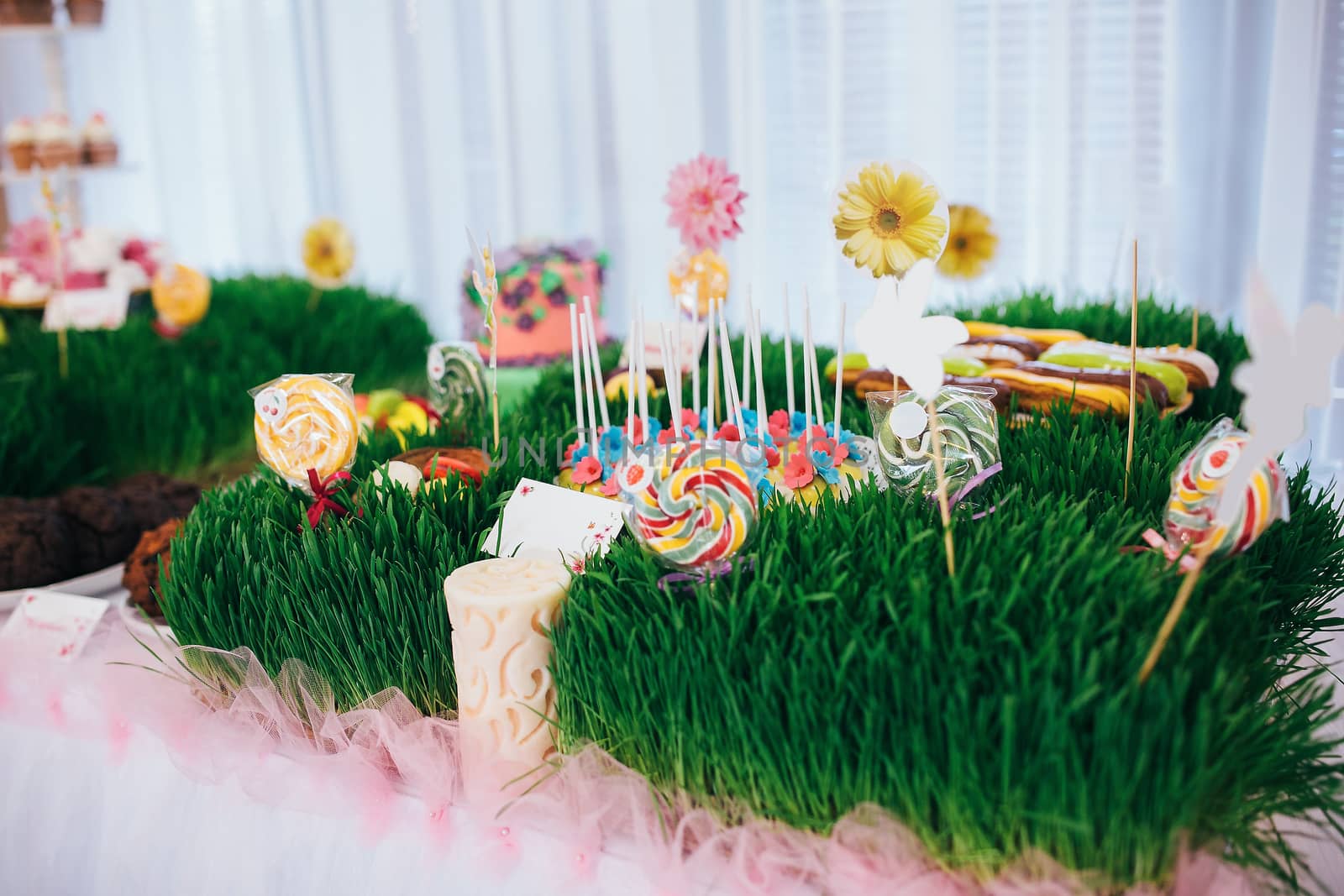 A table with a festive cake with mastic flowers and cookies. Kandy bar is decorated with grass on which cake and lollipops