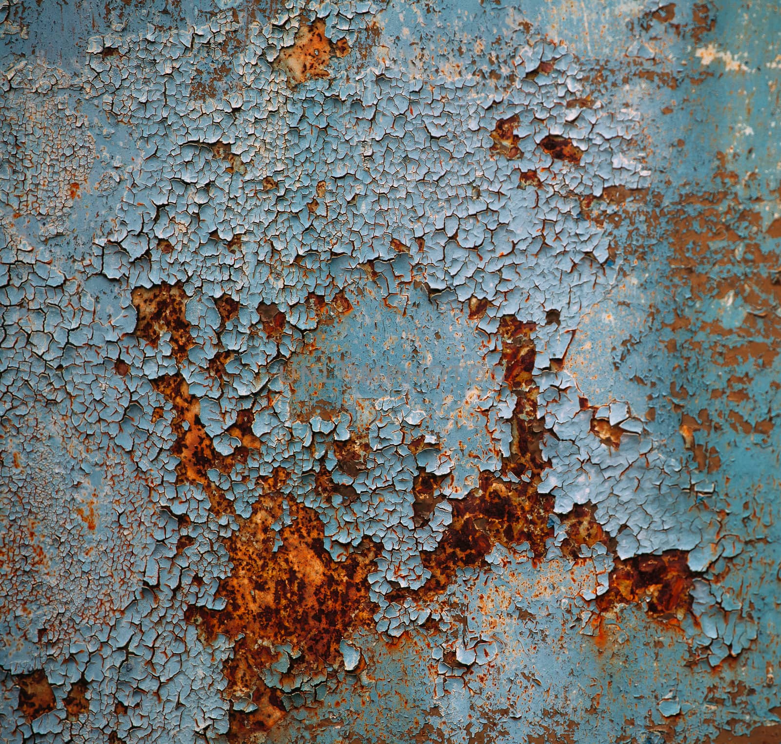 old metal surface with rust and brown-blue paint by Opikanets