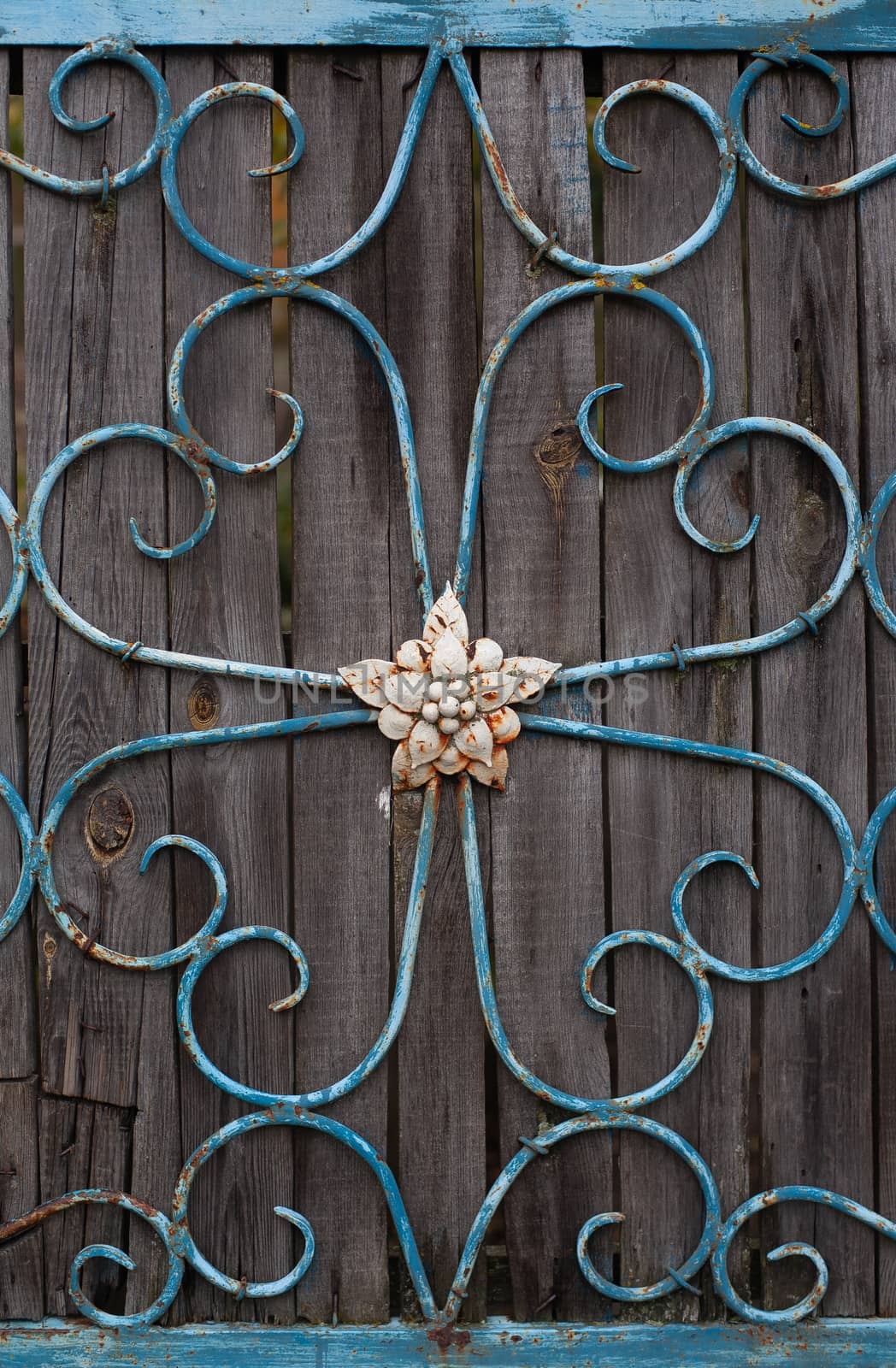 A metal fence in the form of flowers with a flower in the center