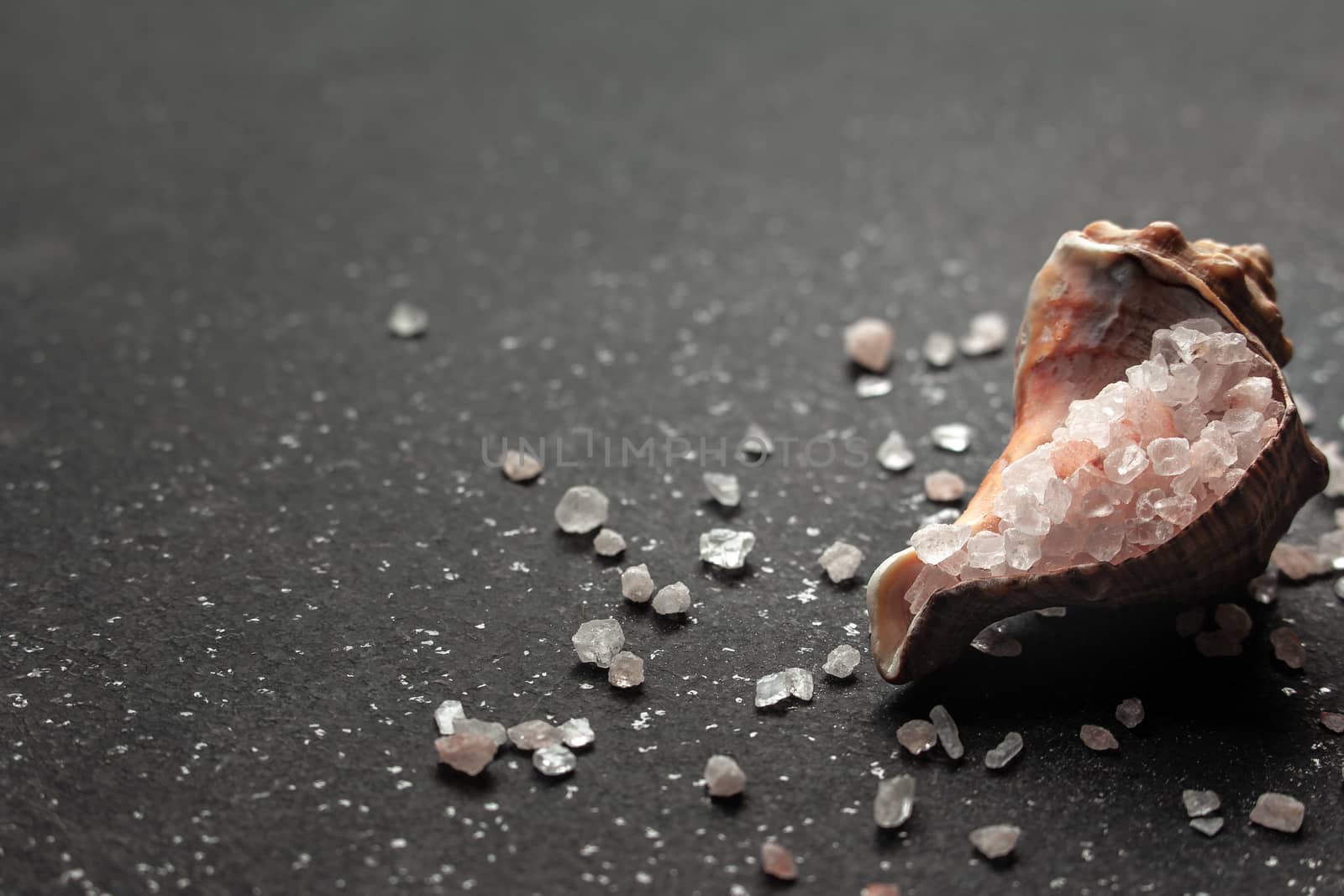 Pink Himalayan rock salt in a shell on a black table