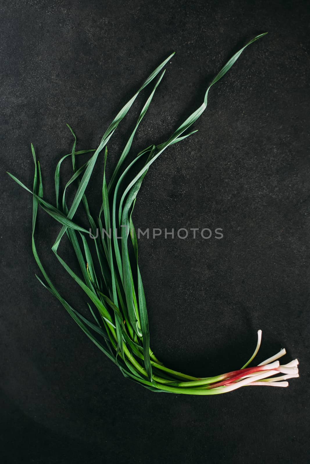 Green onions on black granite by Opikanets