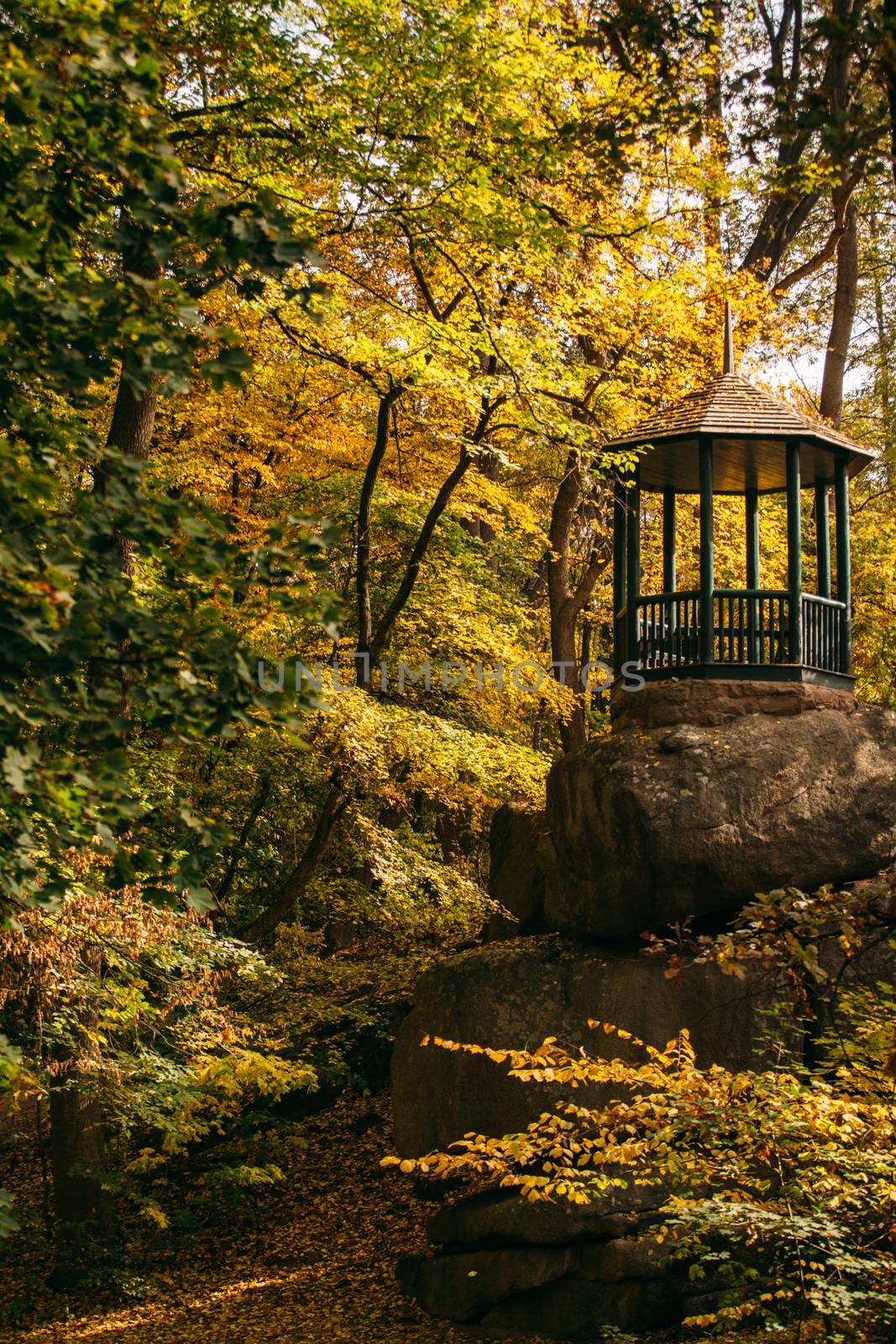 Arbor on a high stone in a yellow autumn forest in sunny weather