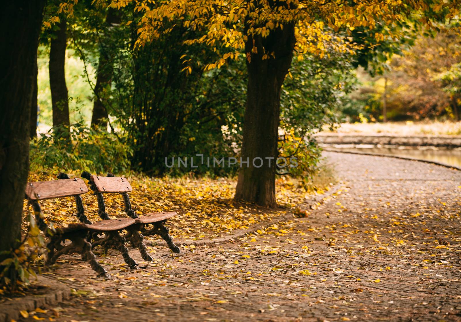 Two benches in an autumn park by the river. Golden autumn by Opikanets