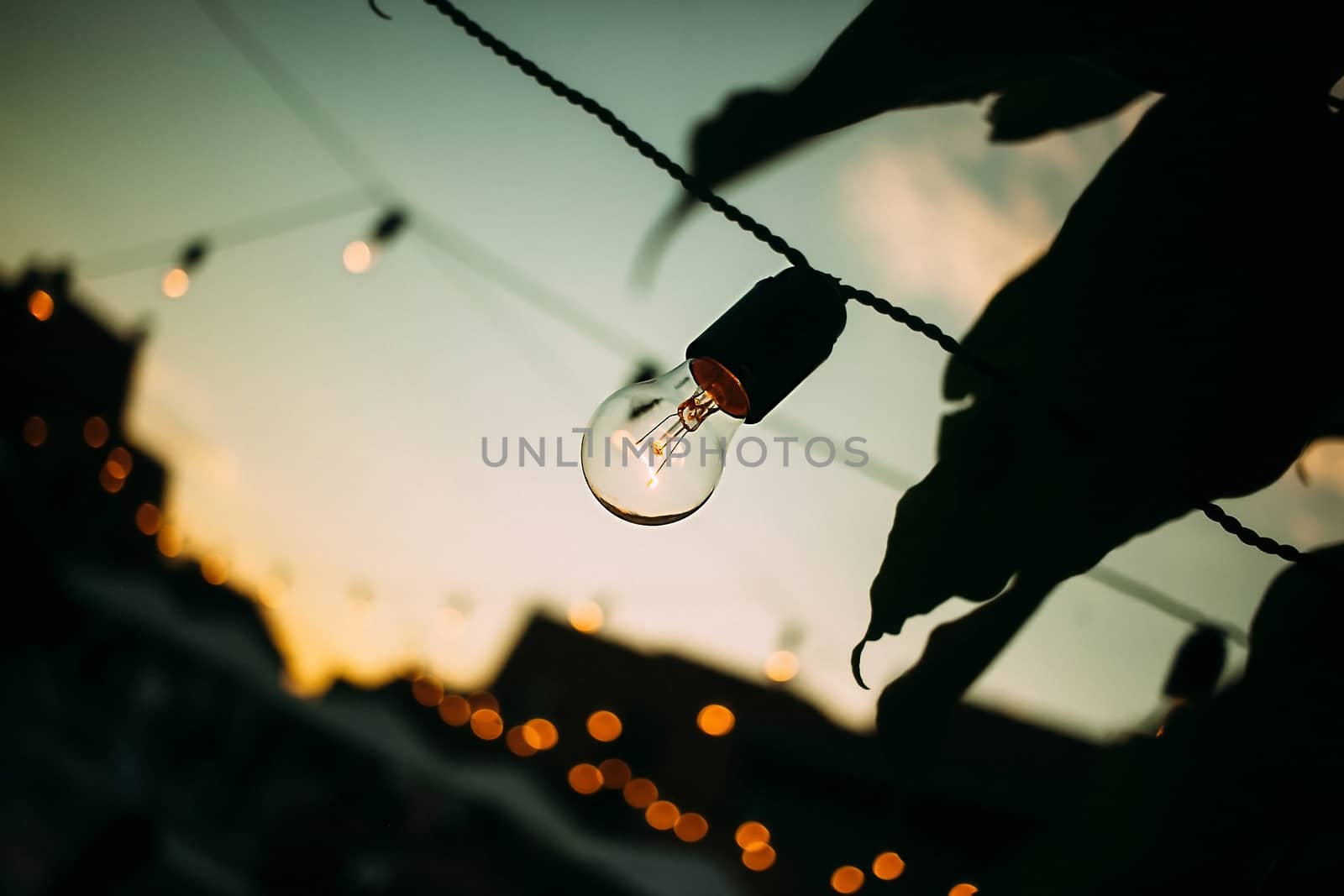 Garland with bulbs on a background of beautiful bokeh and sunset
