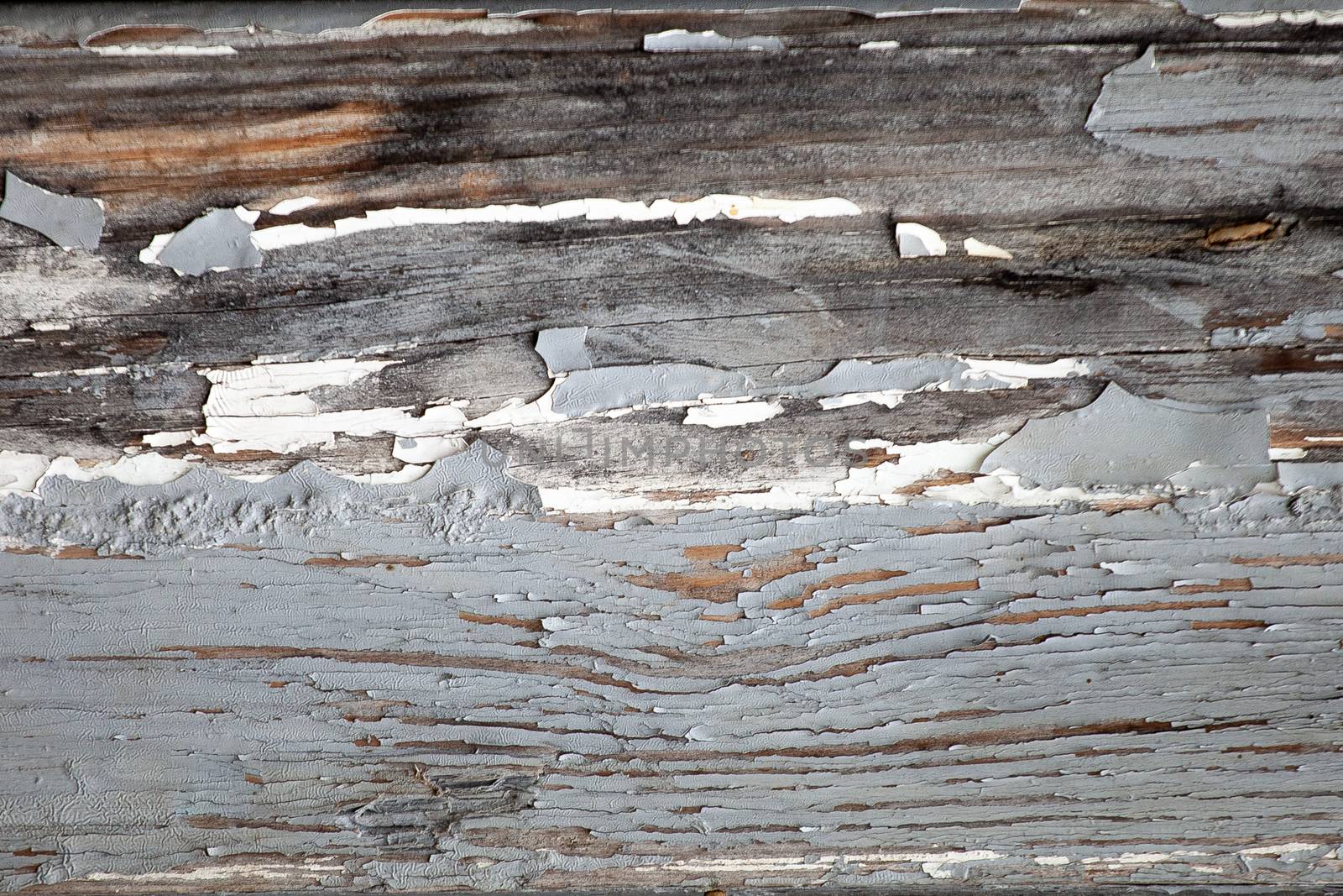 Old peeling paint on a wooden board by Opikanets