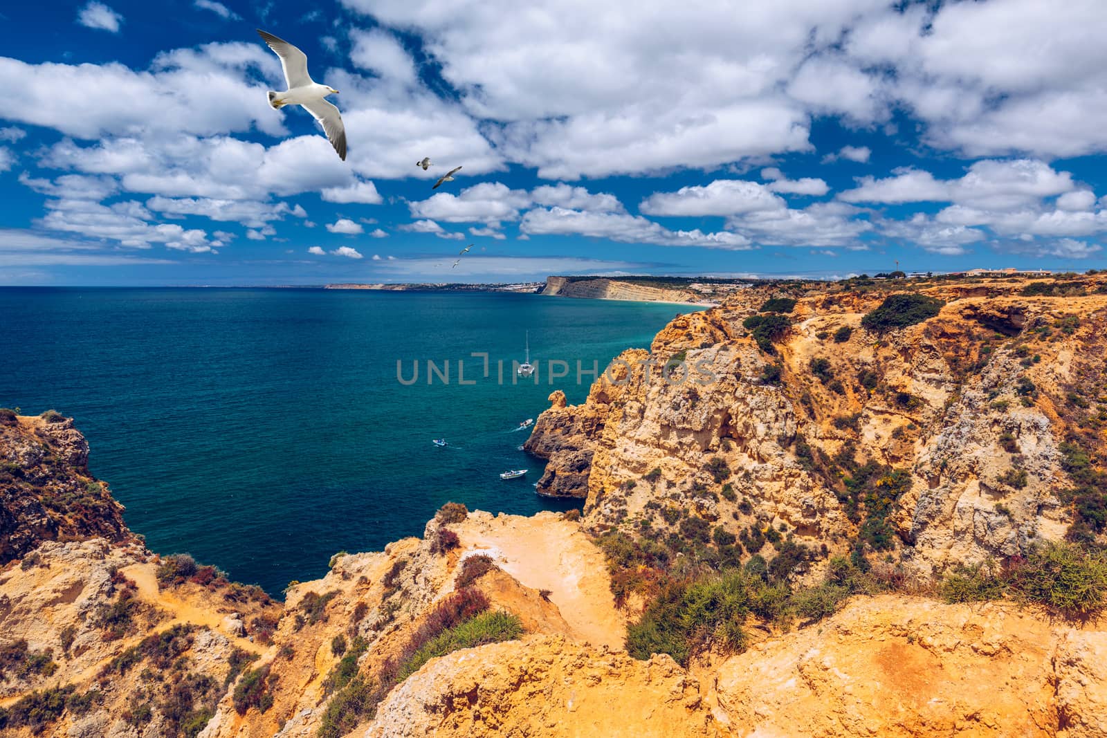 Panoramic view, Ponta da Piedade with seagulls flying over rocks near Lagos in Algarve, Portugal. Cliff rocks, seagulls and tourist boat on sea at Ponta da Piedade, Algarve region, Portugal. 
