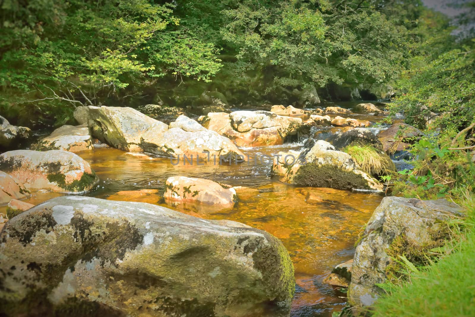 Both Panoramic and some more detailed images of beautiful country scenes.