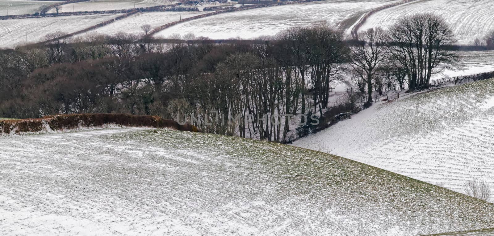 Coast and Countryside. by george_stevenson