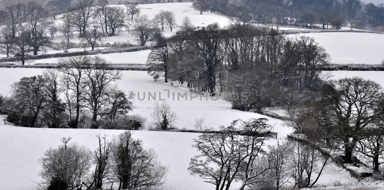 Both Panoramic and some more detailed images of beautiful country scenes.