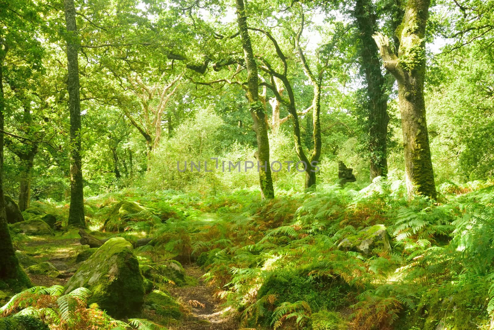 Both Panoramic and some more detailed images of beautiful country scenes.