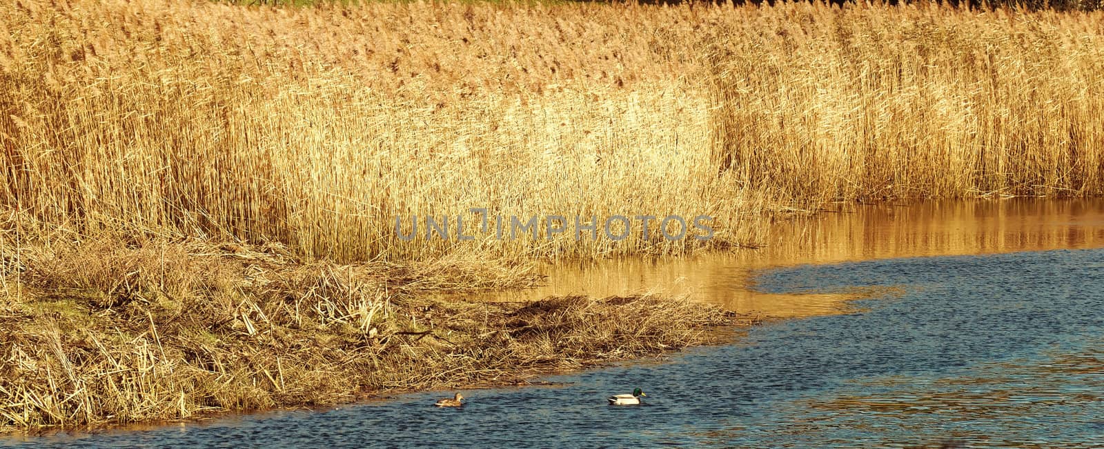 Both Panoramic and some more detailed images of beautiful country scenes.