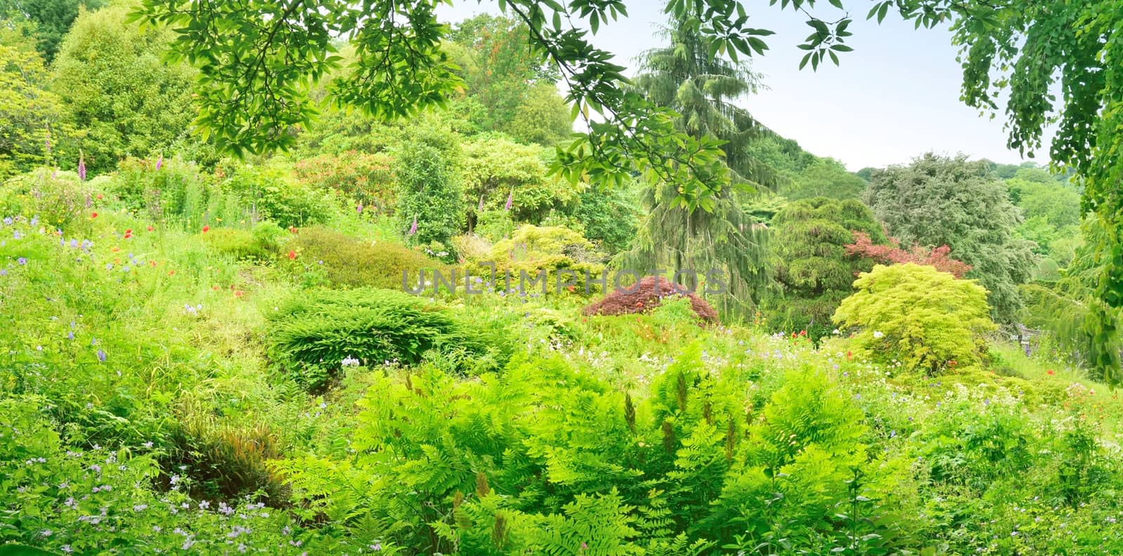 Both Panoramic and some more detailed images of beautiful country scenes.