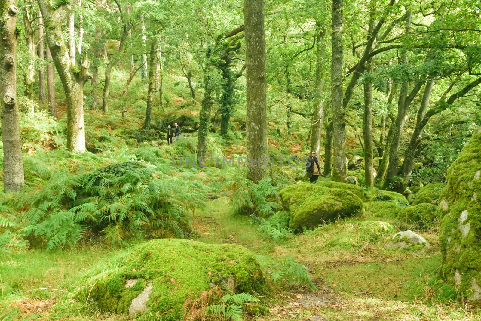 Both Panoramic and some more detailed images of beautiful country scenes.