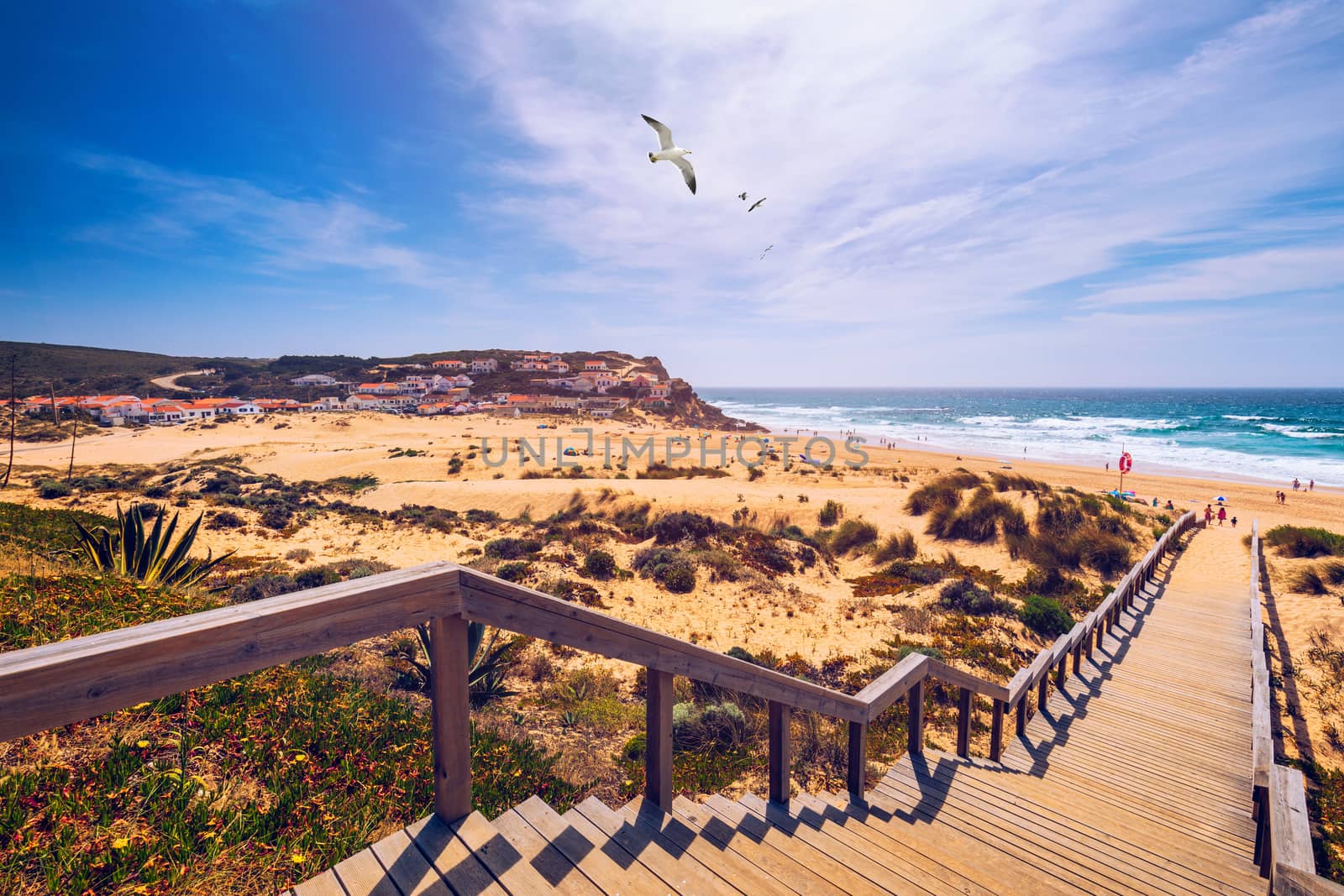 View of the Monte Clerigo beach with flying seagulls on the western coastline of Portugal, Algarve. Stairs to beach Praia Monte Clerigo near Aljezur, Costa Vicentina, Portugal, Europe.
