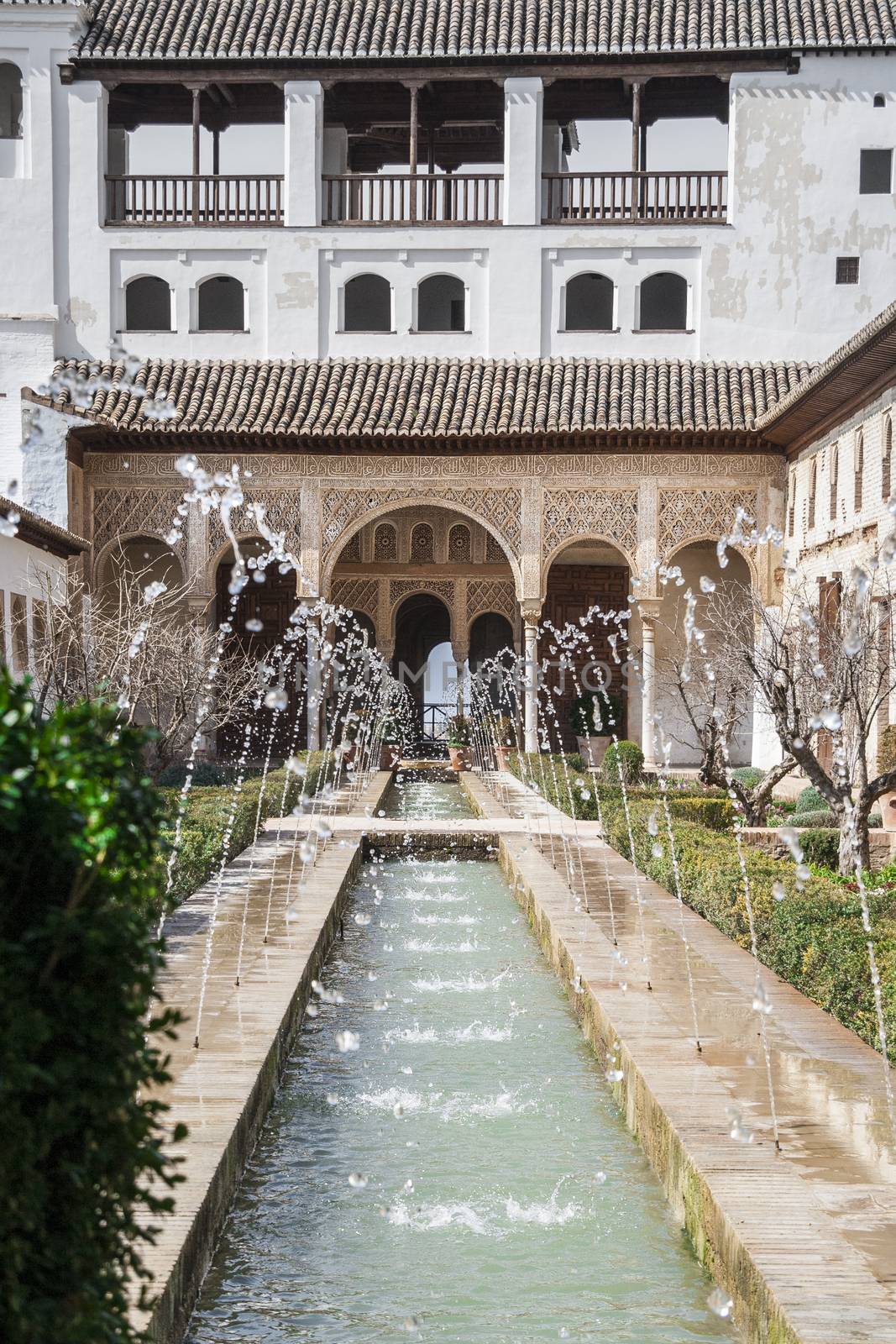 Gardens of the Generalife in Spain, part of the Alhambra by tanaonte