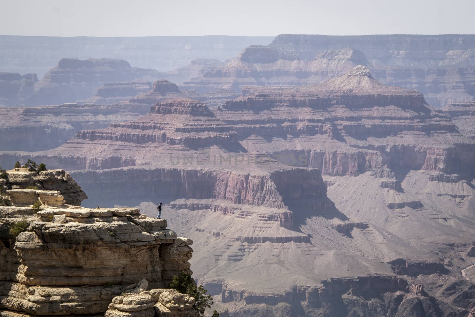 Man standing at the edge of a cliff in the Grand Canyon.