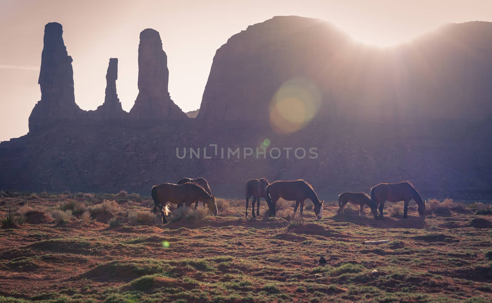 Horses graze with the natural beauty of Monument Valley Utah in the background.