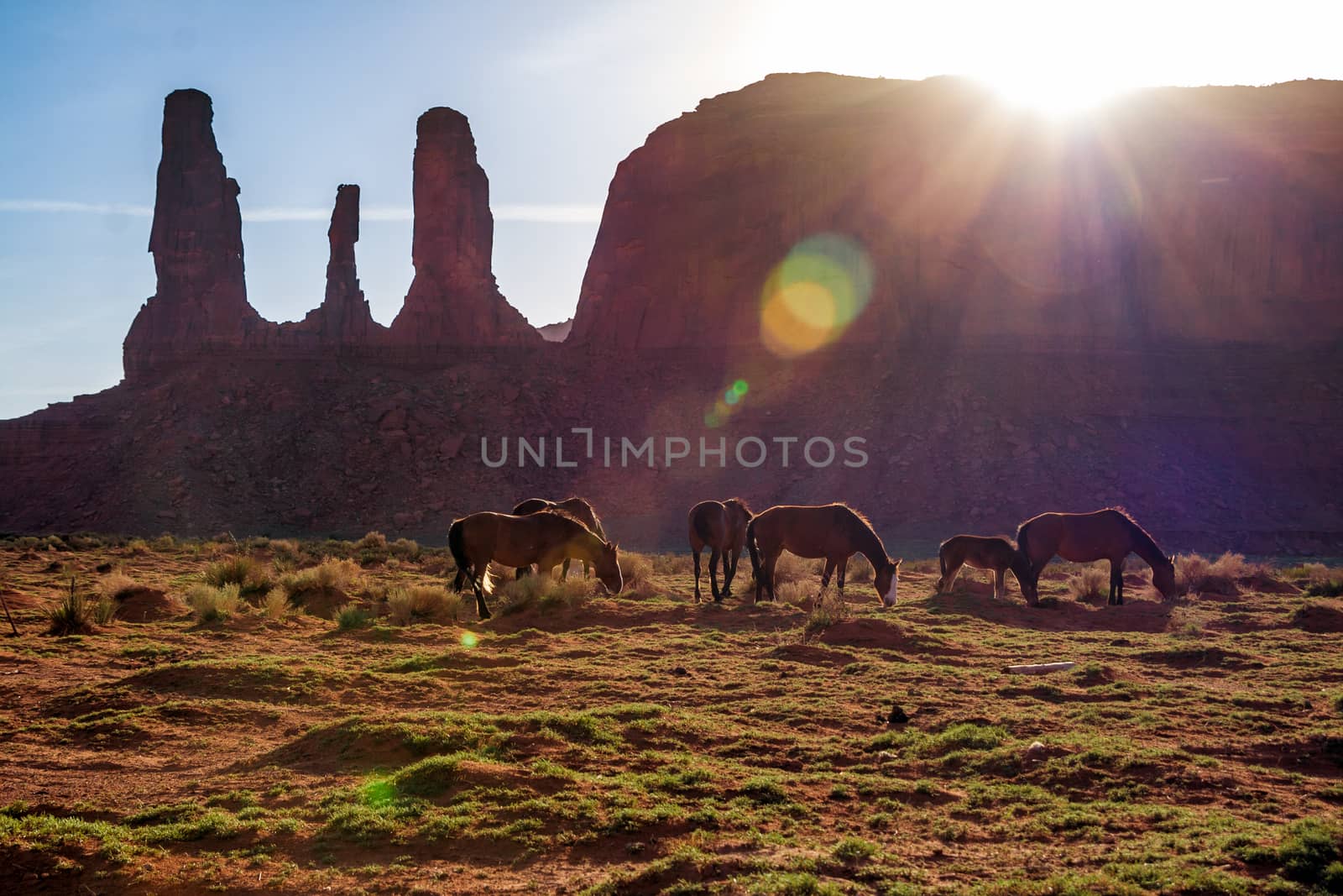 Horses graze with the natural beauty of Monument Valley Utah in the background.