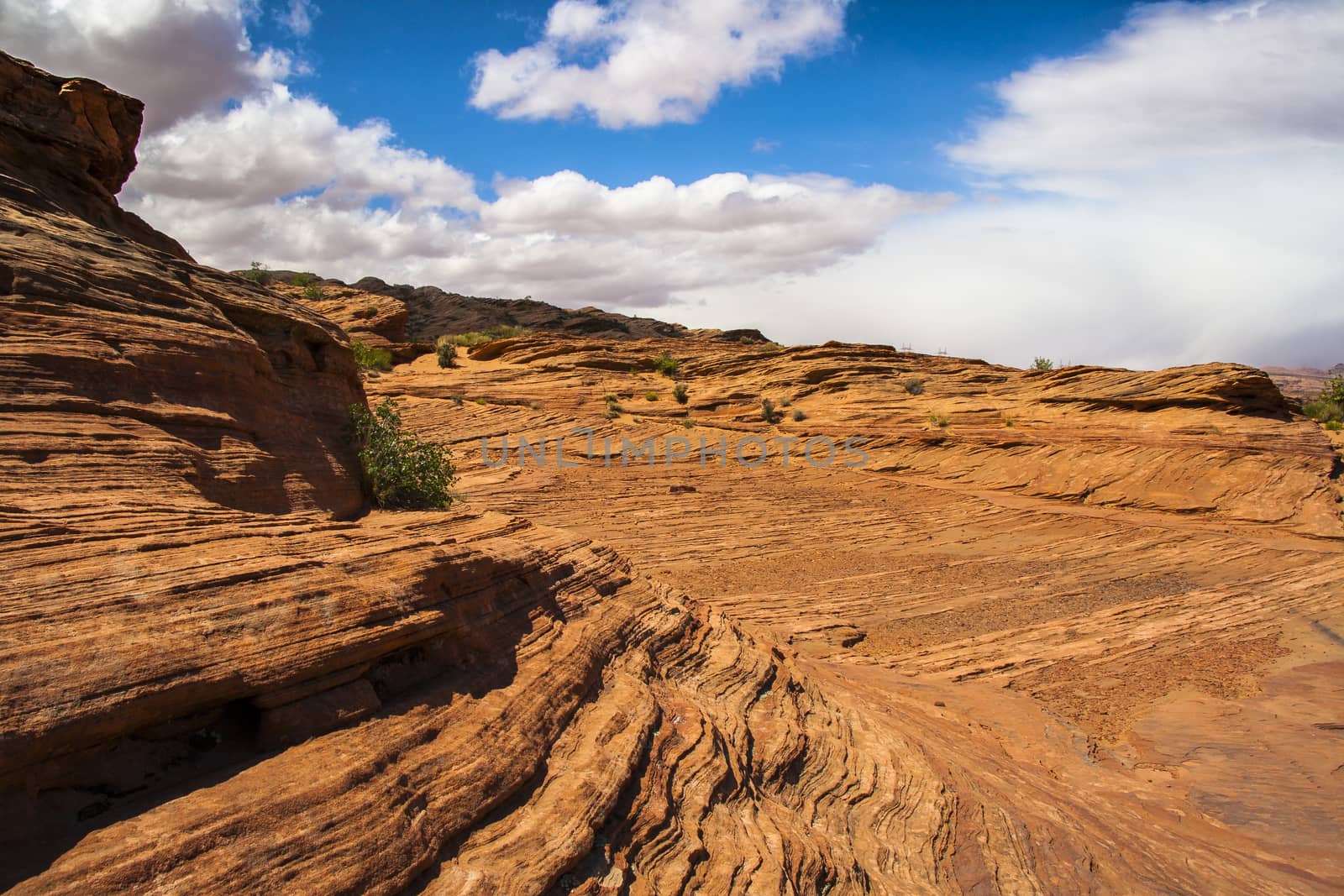 Red Rock Sandstone in Glen Canyon, Page, Arizona by tanaonte