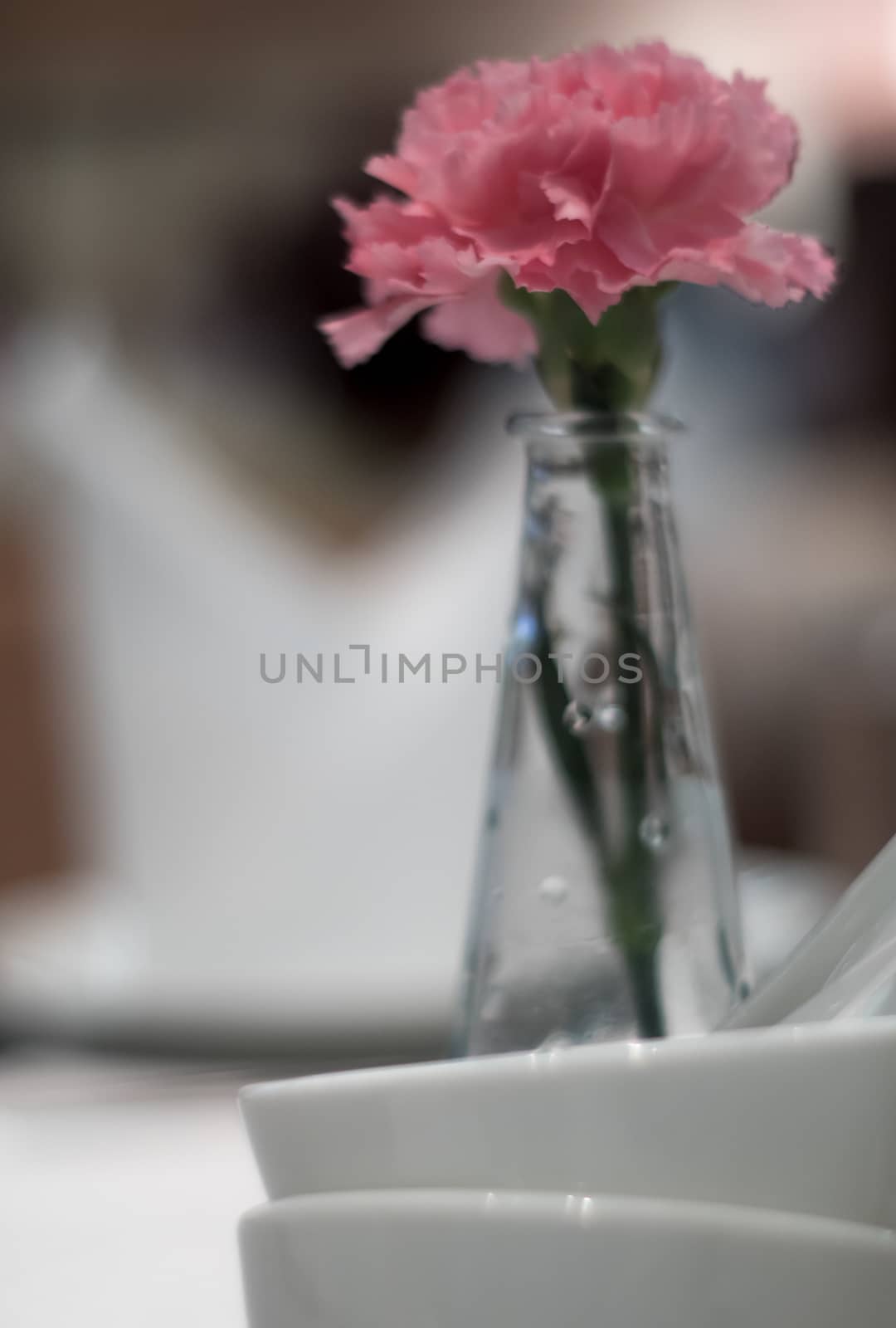 Pink carnation adorned in thin glass vases placed on a dining table