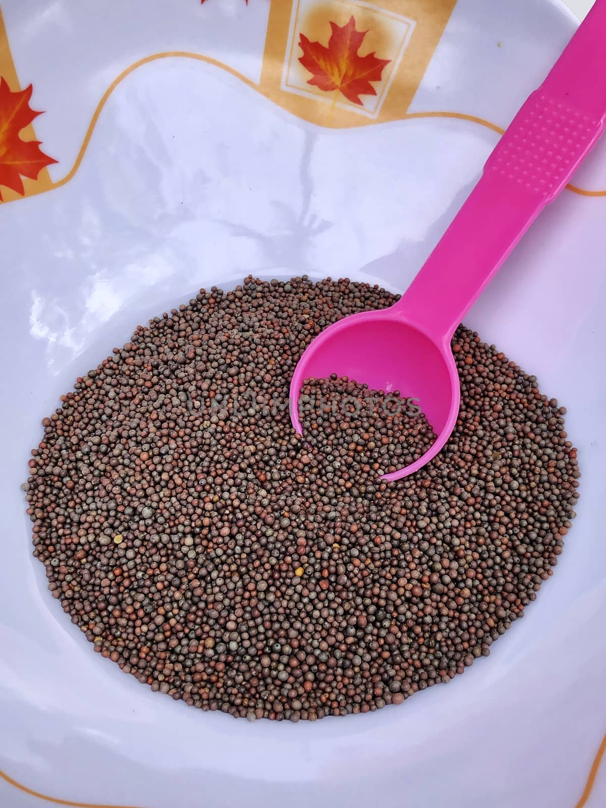 Top view of mustard seeds in a bowl kept for drying before cooking