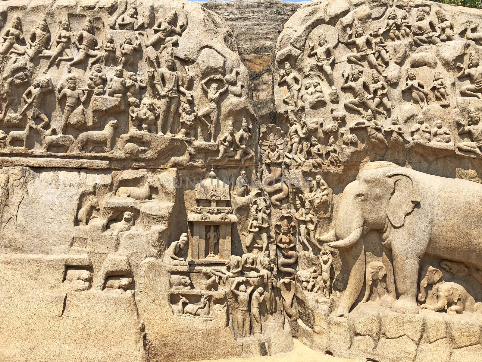 A giant open air rock cut bas relief sculptures carved on two monolithic rocks in Mahabalipuram, Tamil nadu. It contains sculptures of animals, God, People and half-humans.