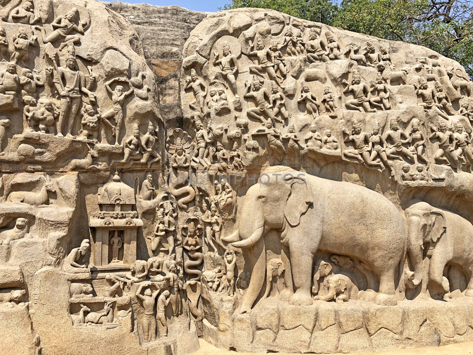 A giant open air rock cut bas relief sculptures carved on two monolithic rocks in Mahabalipuram, Tamil nadu. It contains sculptures of animals, God, People and half-humans.