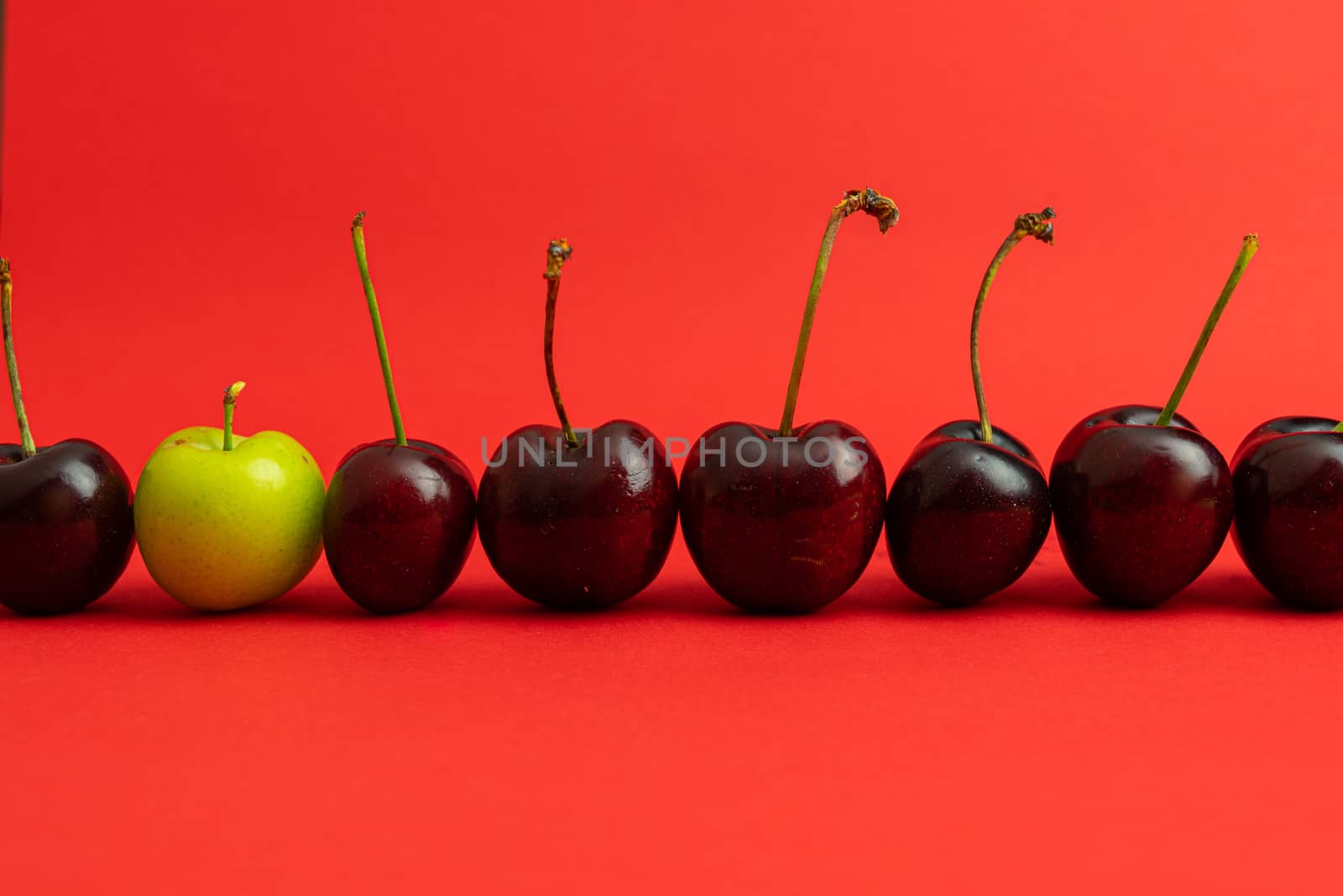 Line of cherries with a green plum to the left breaking the pattern on a deep red background.