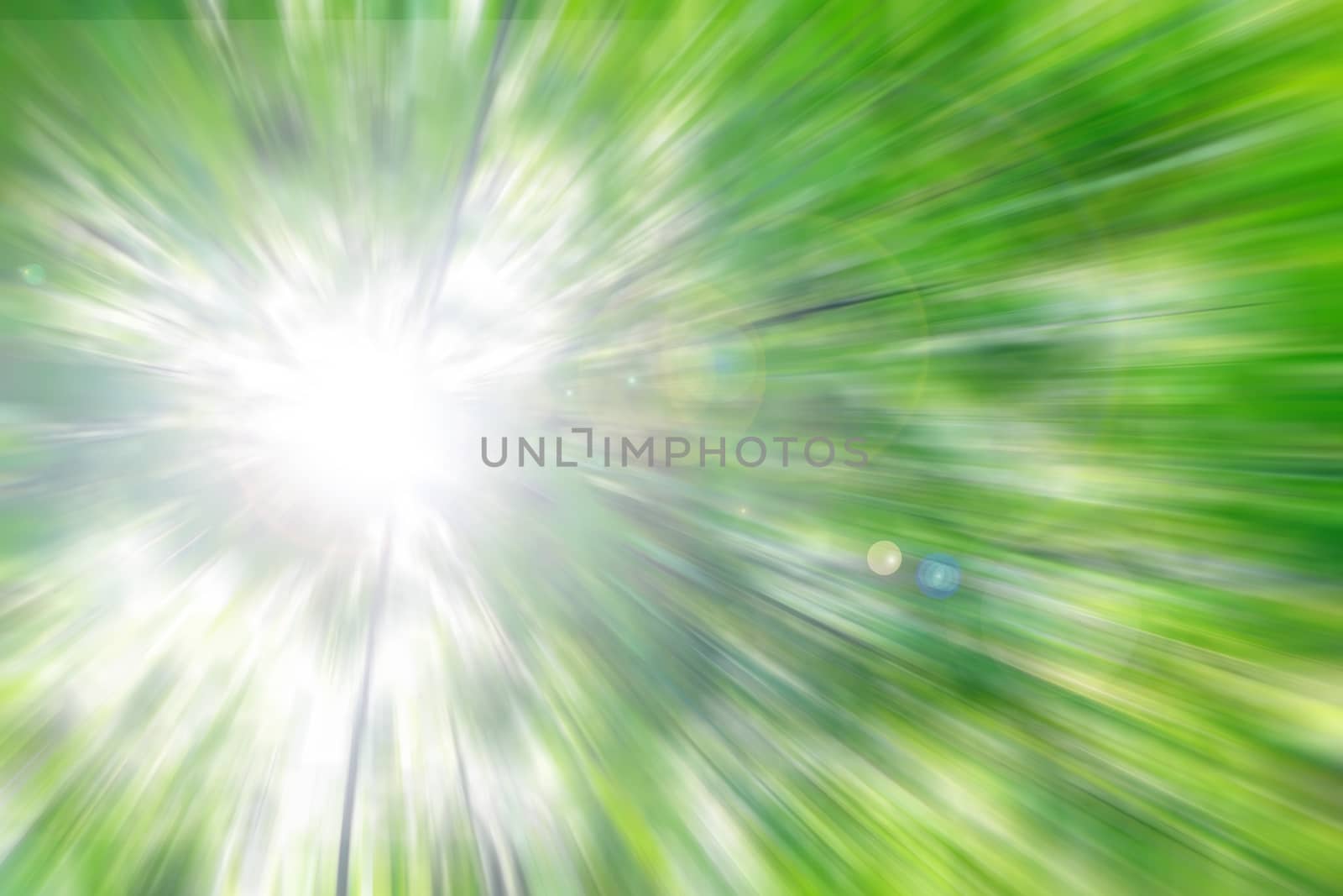 radial blurring of the green background of tree leaves by jk3030