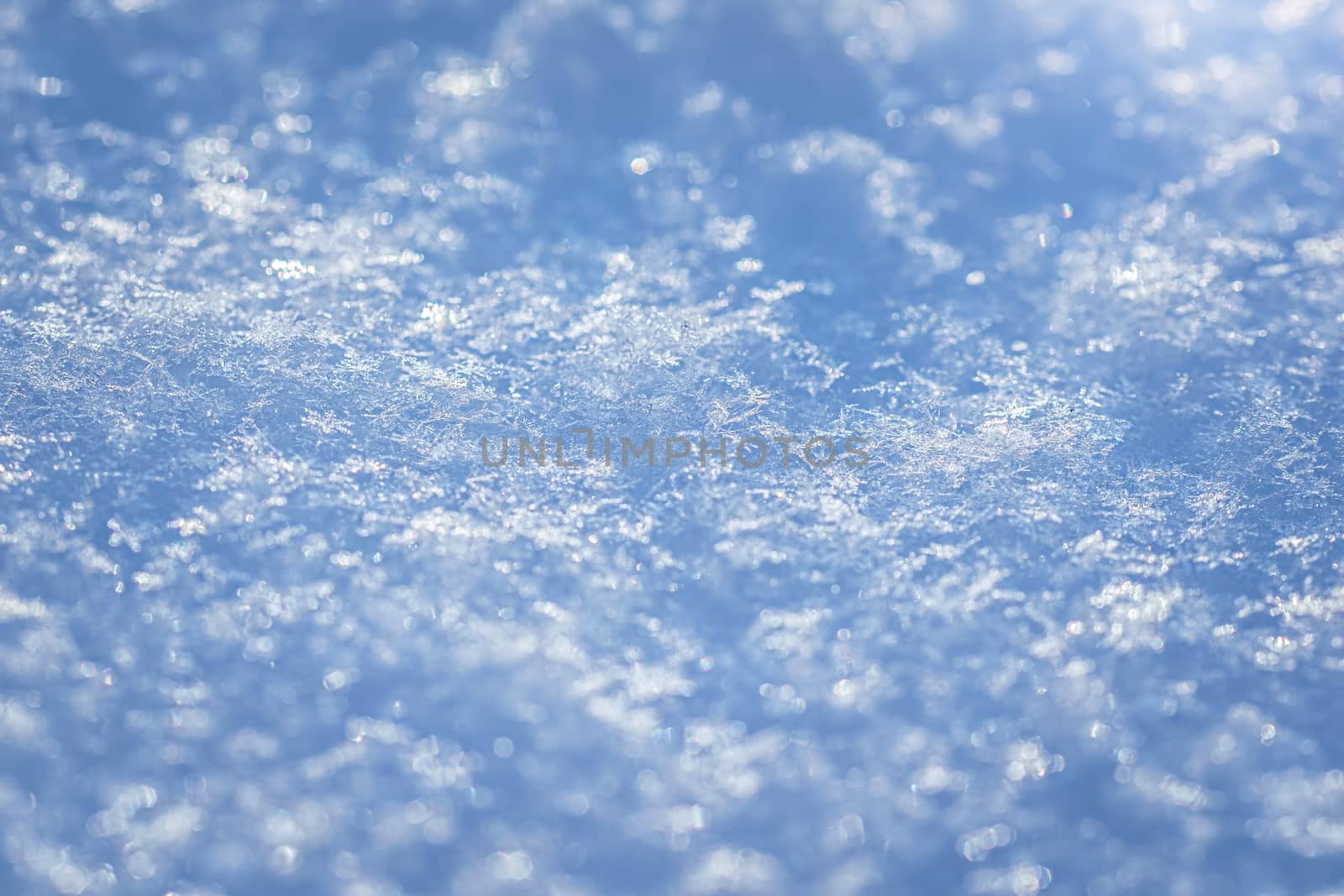 Macro background of fresh snowflake texture on a blur.