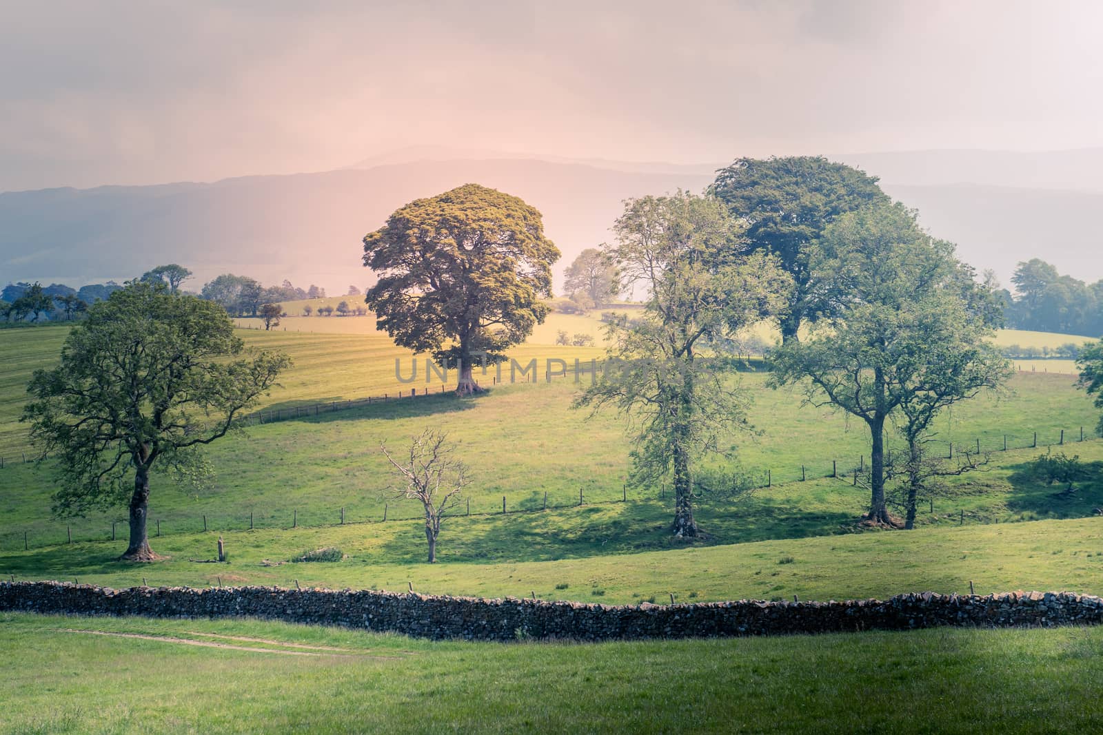 A Scenic Countryside View of a Spacious Open Grassland Field and a Blue Sky Above UK