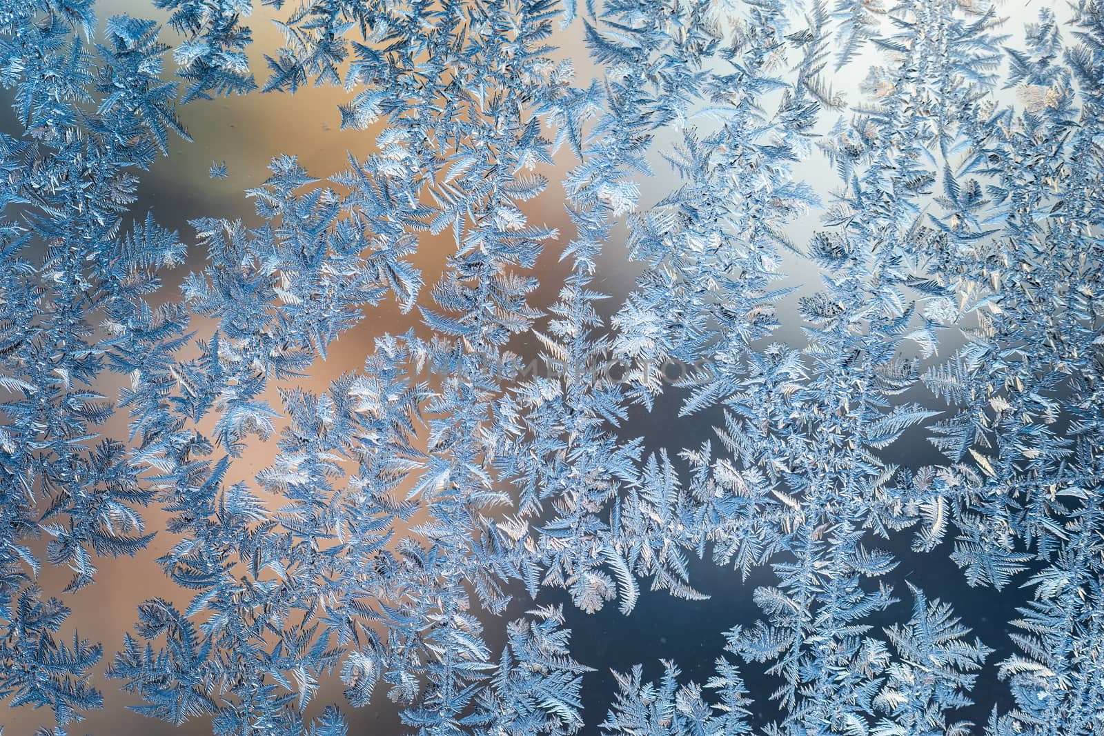 Frosty natural pattern on winter window