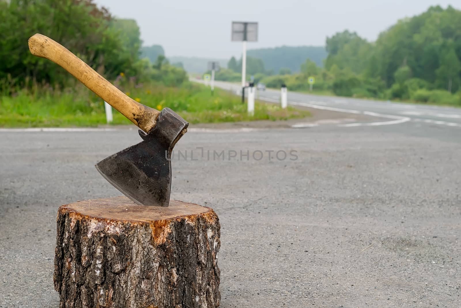 view of the ax, which is stick in a wooden chock on the background of a country road