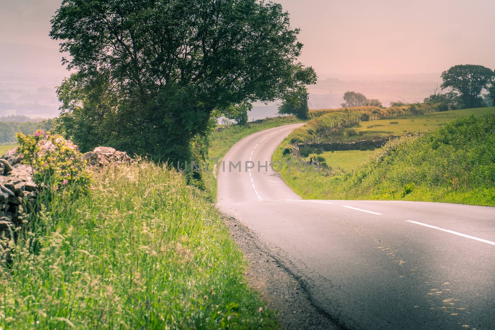 curved road in middle of rural Engalnd with dry stone walls and trees by paddythegolfer