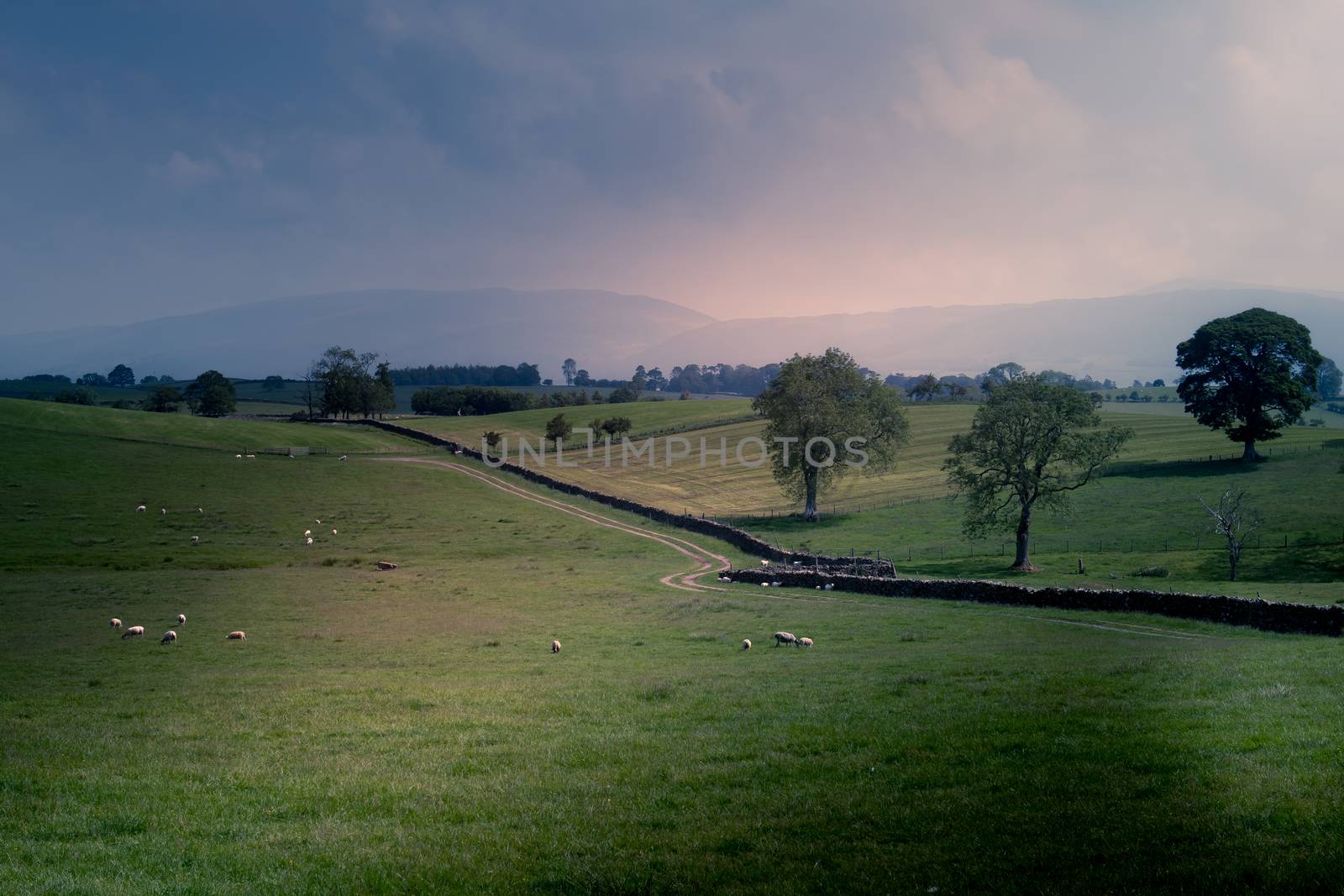 Northwest English countryside between the rain showers. by paddythegolfer