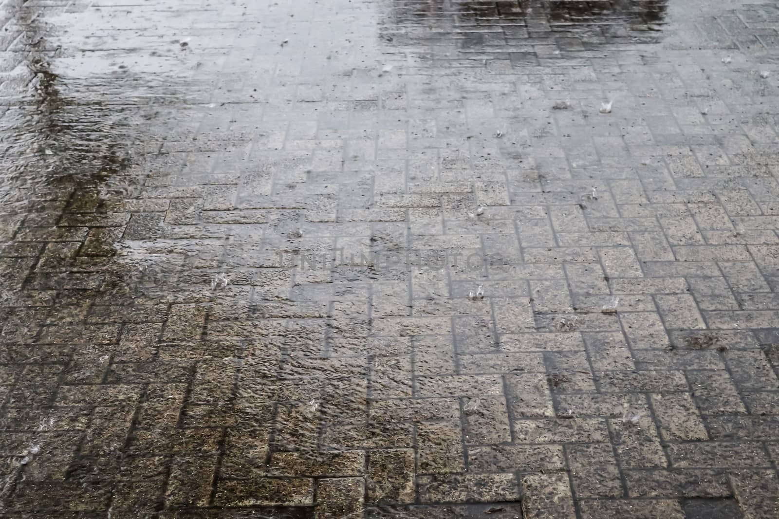 Heavy rain drops falling on city street during downpour. Wet ashpalt road texture.