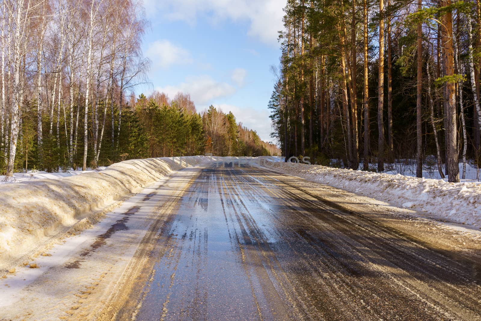 The road with melted snow through the winter forest to the thaw