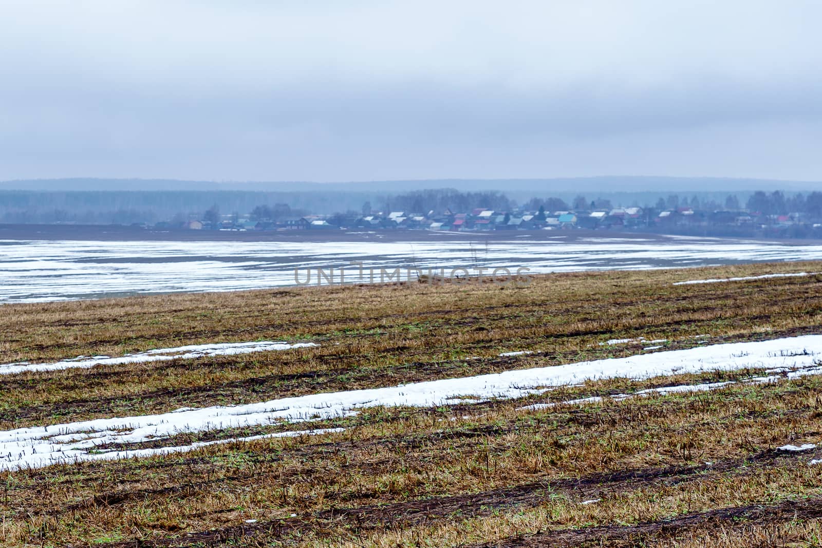 field with melting snow and last year's grass by VADIM