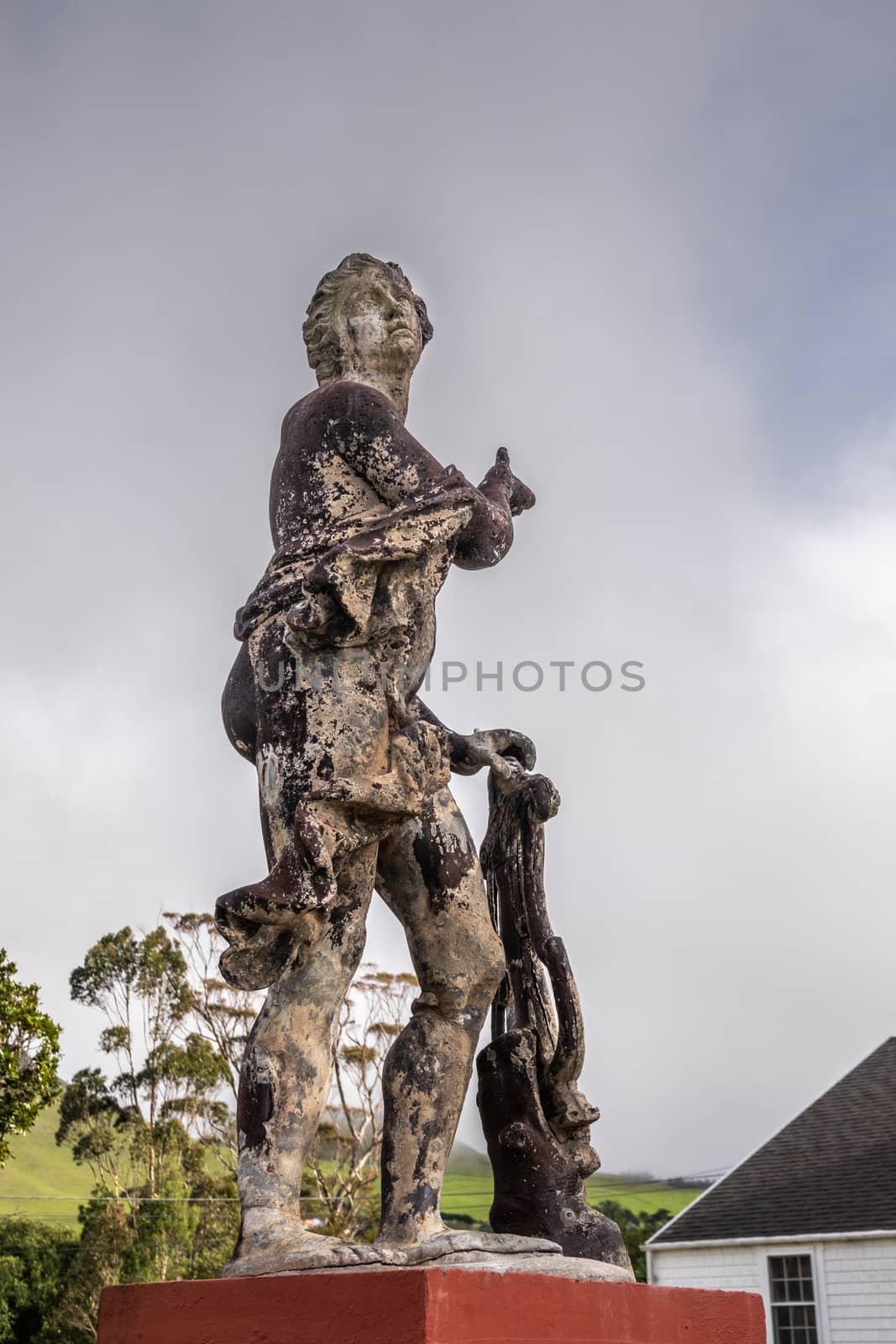 Waimea, Hawaii, USA. - January 15, 2020: Parker Ranch headquarters. Closeup of old white stone discollored by black mold statue of Apollo under light blue sky. Some green foliage.