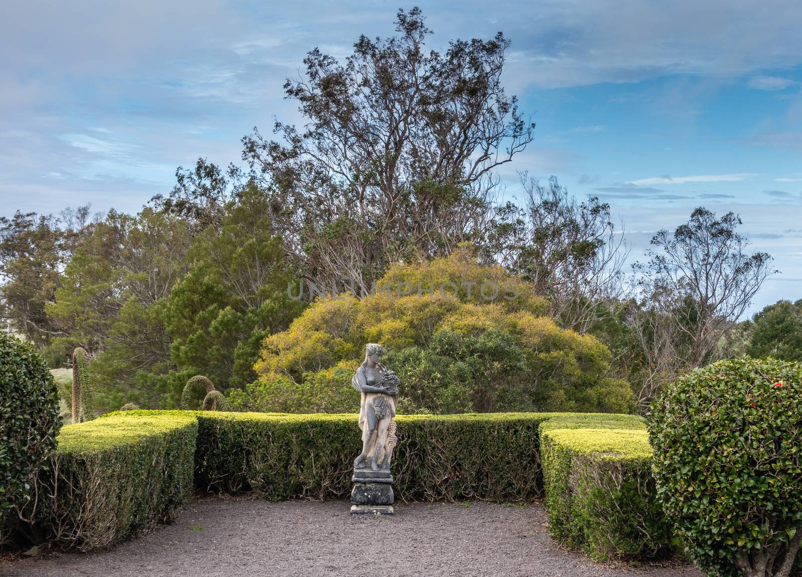 Waimea, Hawaii, USA. - January 15, 2020: Parker Ranch headquarters. Old white stone discollored by mold statue of half-nude woman with grapes under blue sky. Green foliage in back.