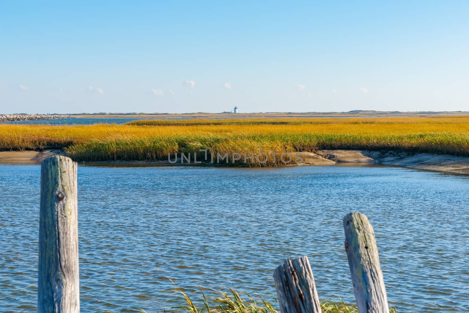 Salt Marsh and Long Point Lighthouse. by brians101