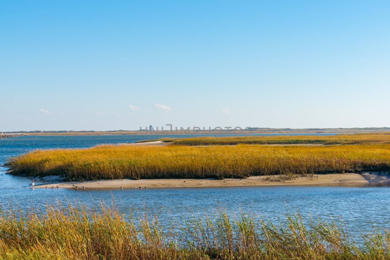 Salt Marsh and Long Point Lighthouse. by brians101