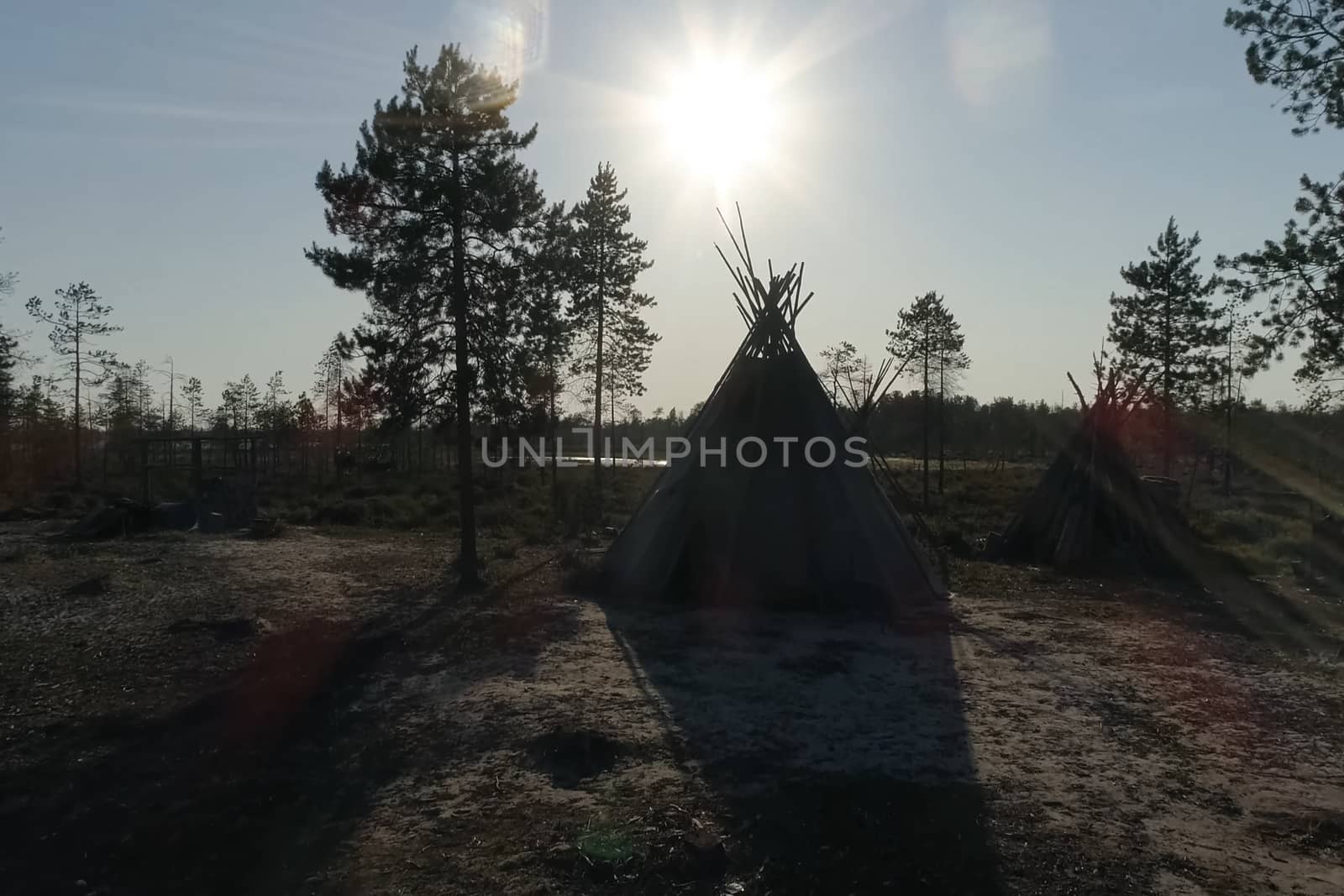 Yurt resident of the forest tundra and tundra. Yurt against the background of the forest and sunset.