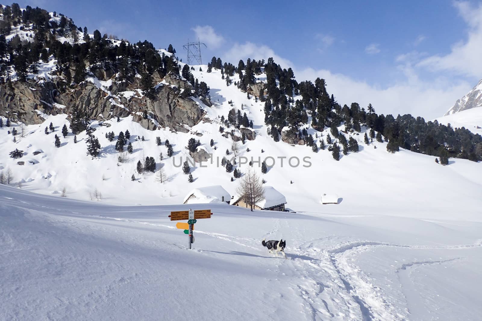 Indication signs for paths, Lareccio canals and Colombe pass by mauro_piccardi