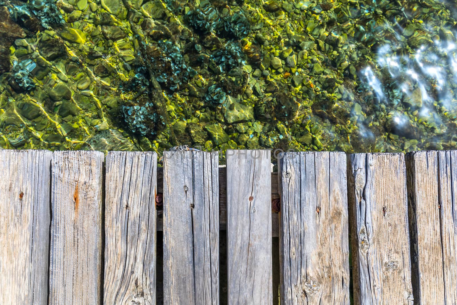Wooden board empty over sea, can be used for display or present a product. Summer season. Empty perspective wooden planks over the reflection of green water, product display template.