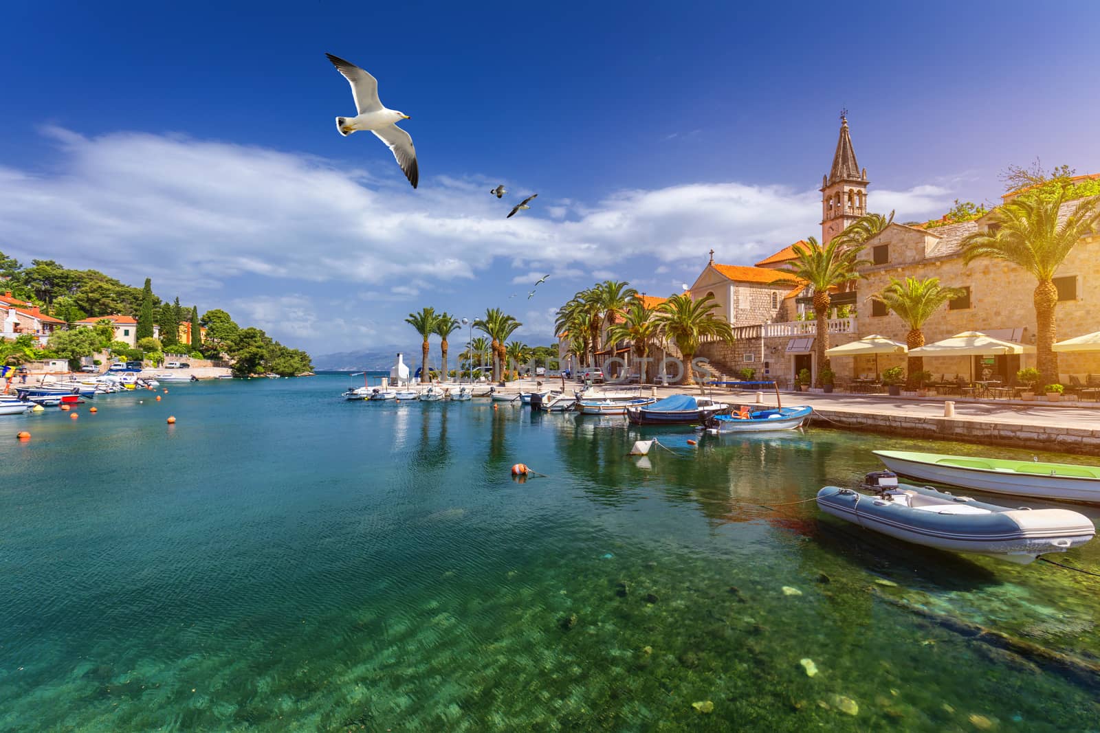 Splitska village with beautiful port and seagull's flying over the village, Brac island, Croatia. Fishing boats in Splitska village on Brac island seafront view, Dalmatia, Croatia, Croatia.